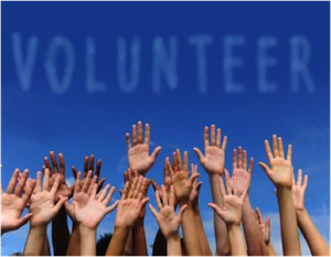 accounting software for volunteers