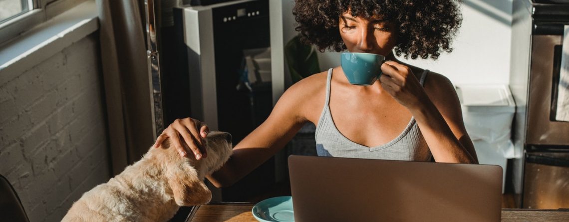 self-employed woman and her dog at a laptop