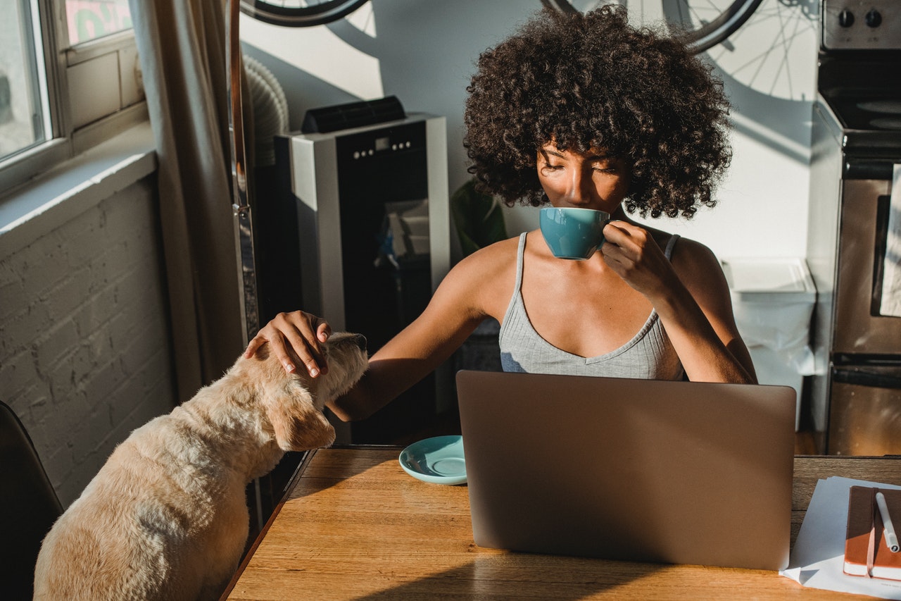 self-employed woman and her dog at a laptop